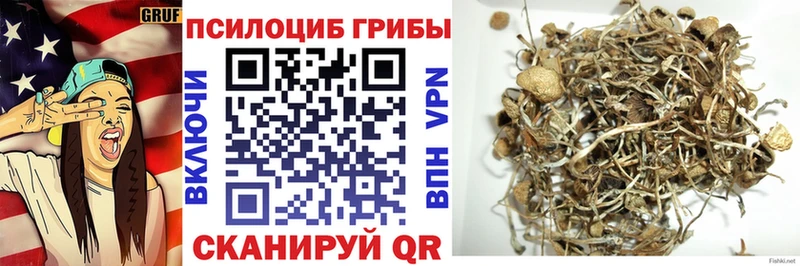 Псилоцибиновые грибы прущие грибы  Дальнегорск 