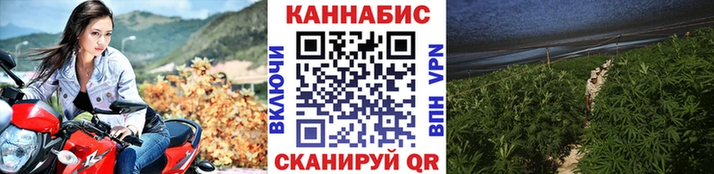 МАРИХУАНА ГИДРОПОН  Дальнегорск 